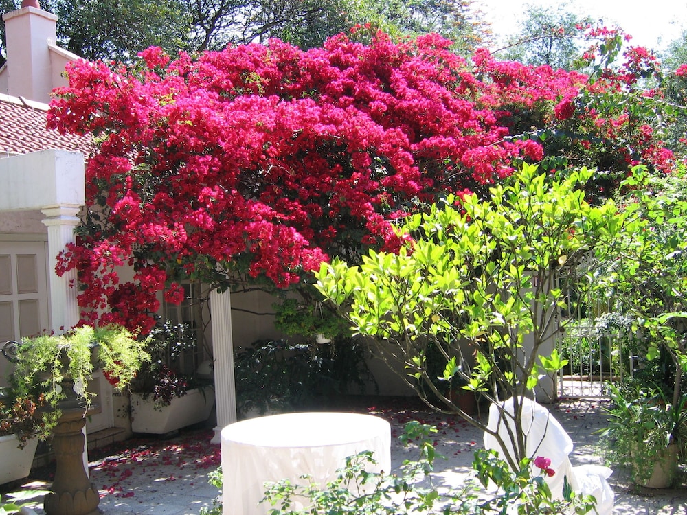 Villa Victoria Executive Guest House 19/26