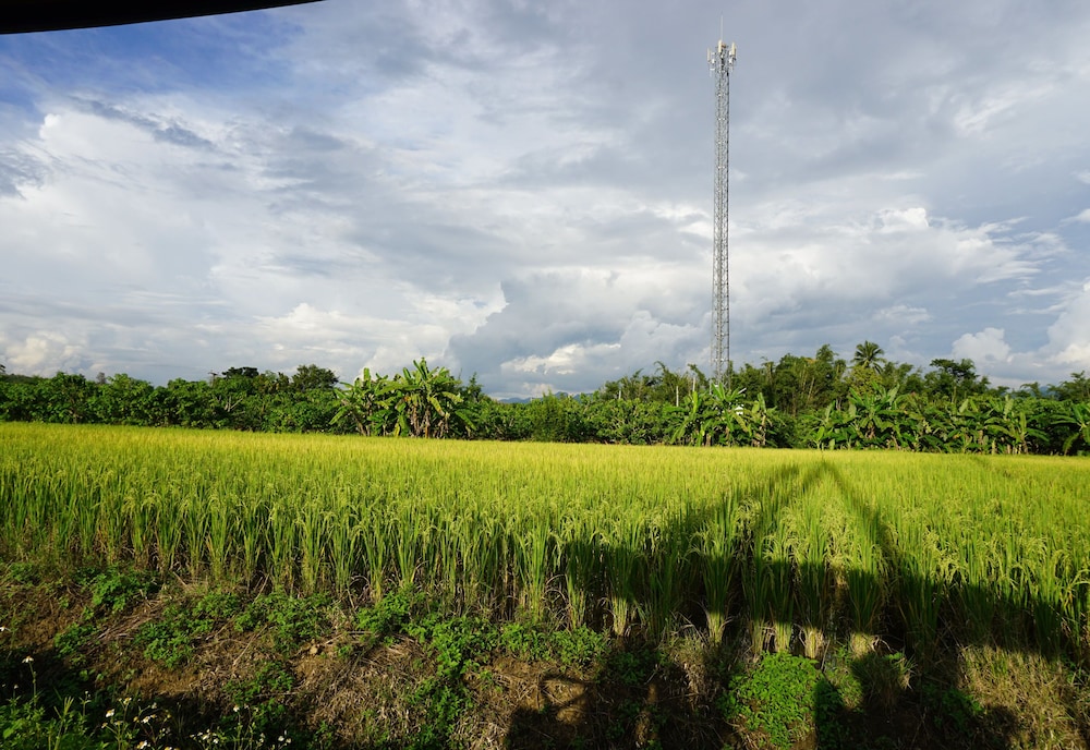 Ban Suan Tawan Chiang Dao 37/50