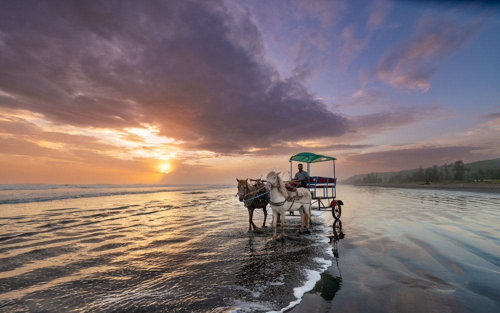 Lotus Eco Beach Resort, Murud Beach-Dapoli, District Ratnagiri 61/74