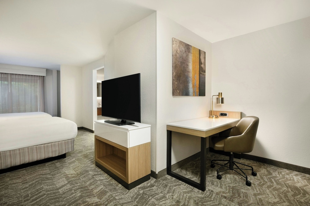 Springhill Suites Newnan 15/20