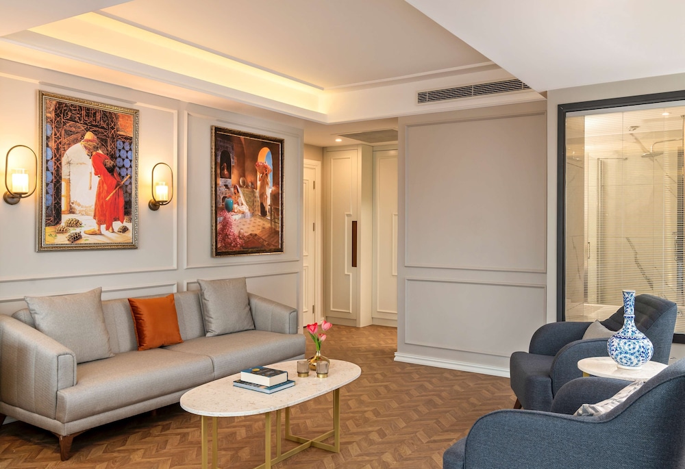 Royan Hotel Hagia Sophia Istanbul, A Member of Radisson Individuals 22/50