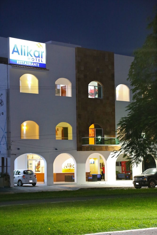 Alikar 2/41