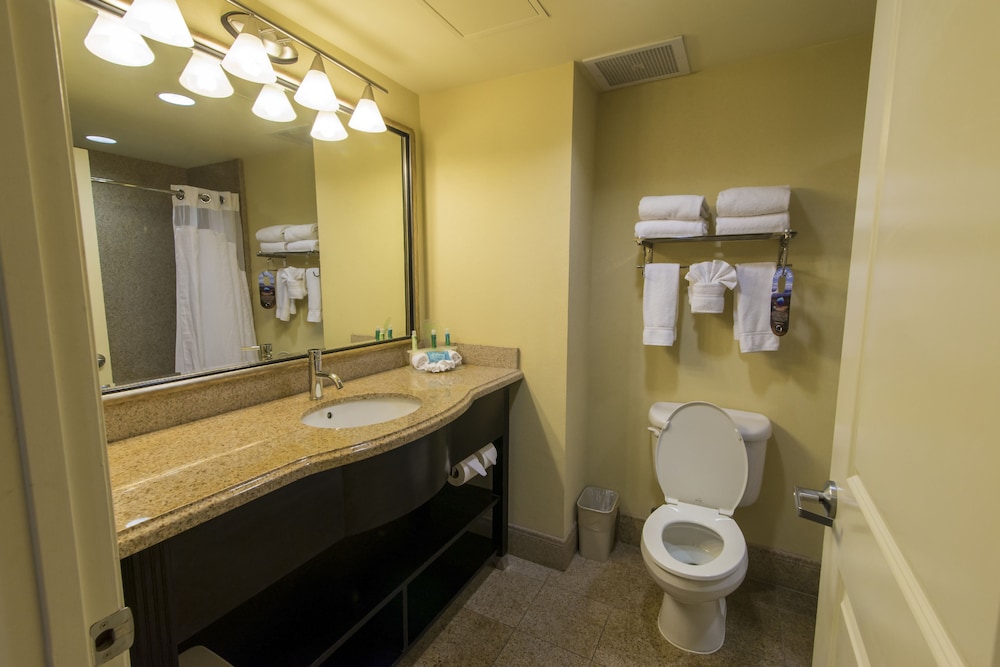 Holiday Inn Express and Suites Orlando - International Drive 35/79