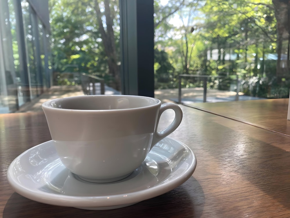 Hotel Sengokuhara 533 18/46