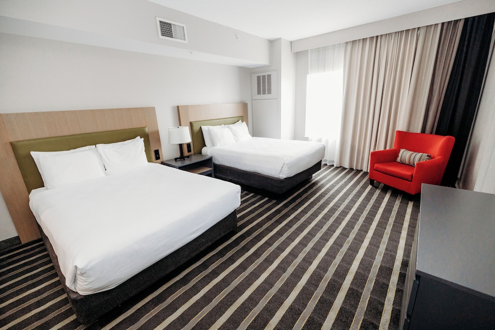 1 Bedroom, Suite