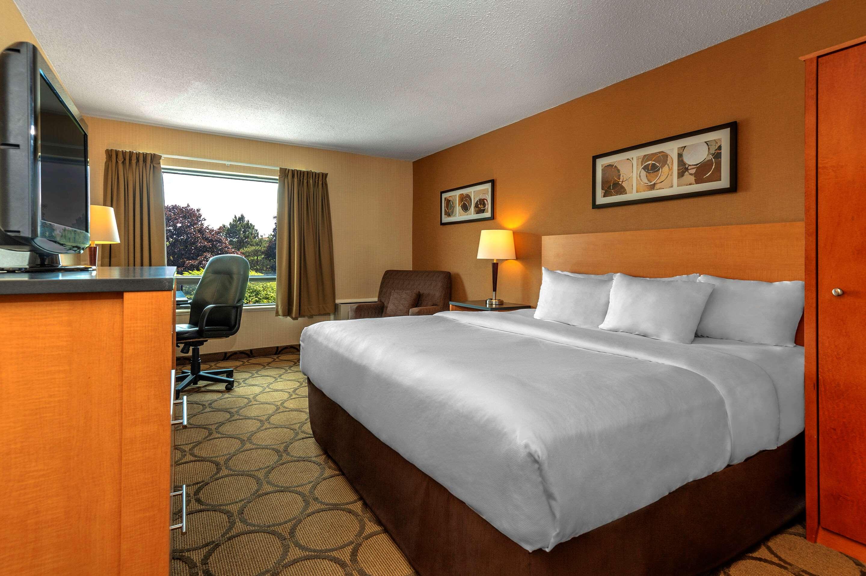 Room, King Bed
