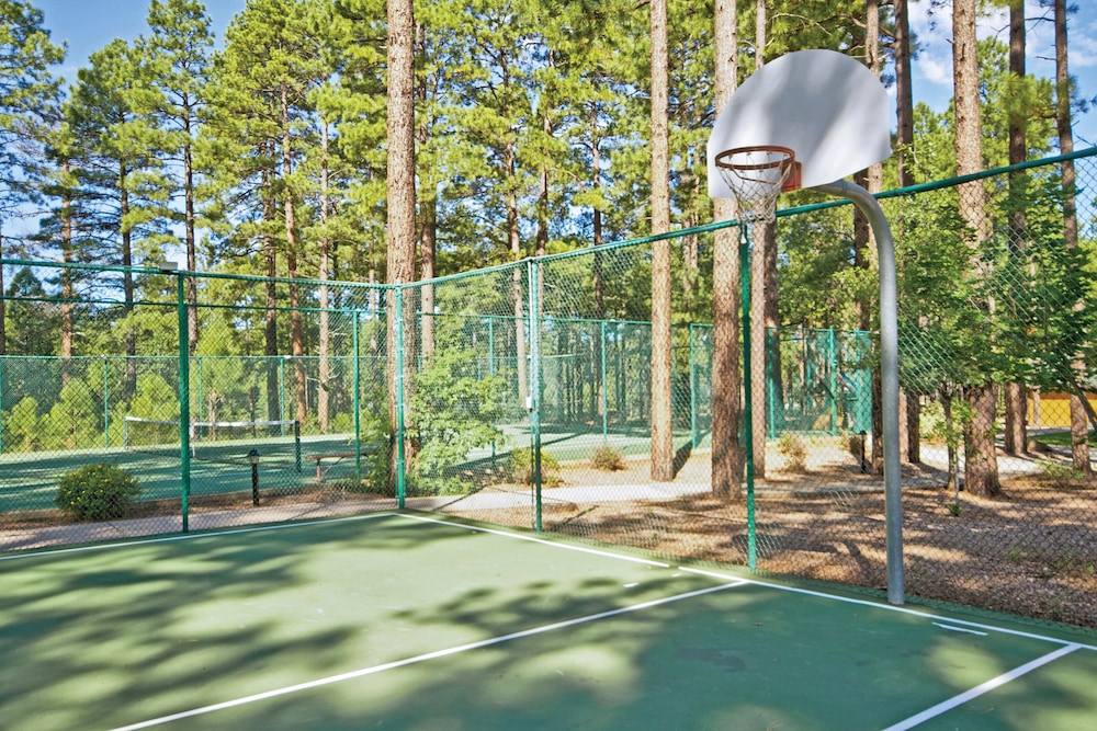 play_area