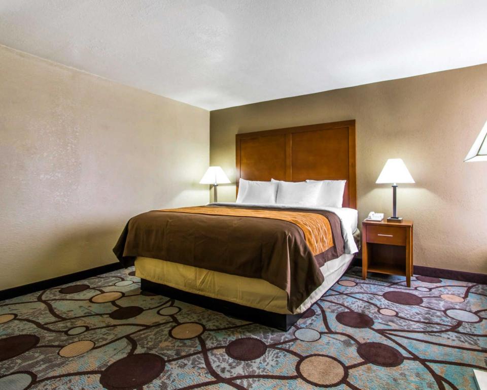 Suite, King Bed
