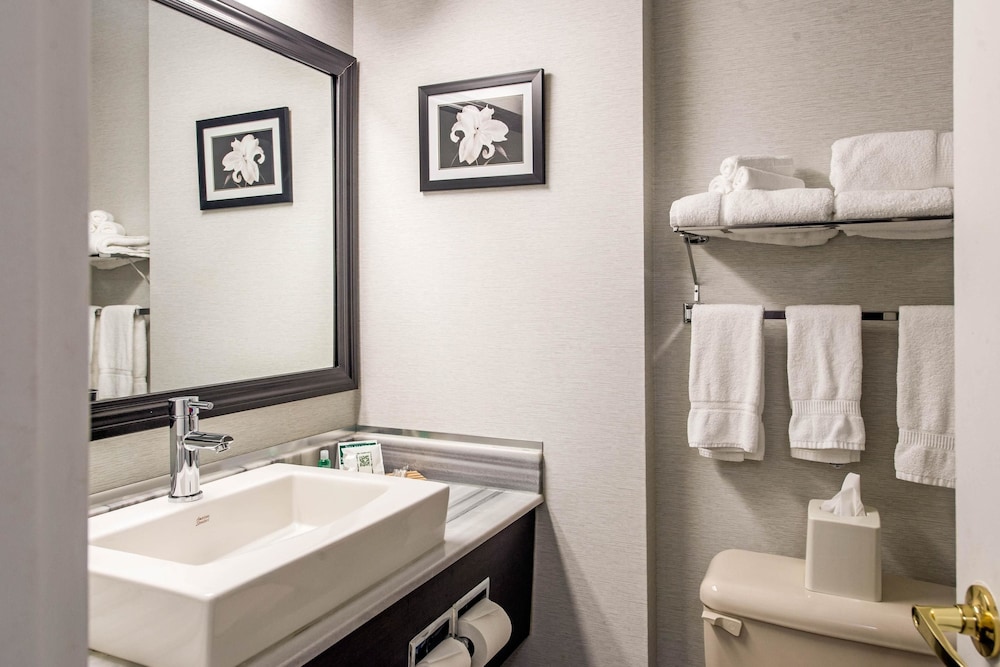 Quality Inn & Suites Gatineau 17/42