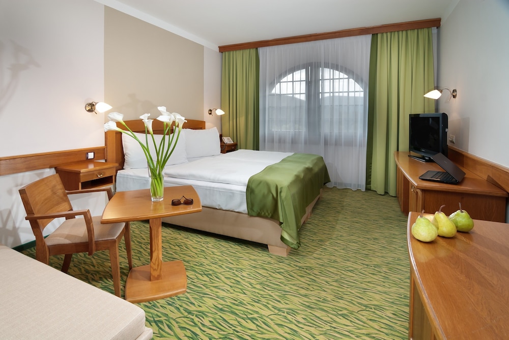 Wellness Hotel Windsor 20/63