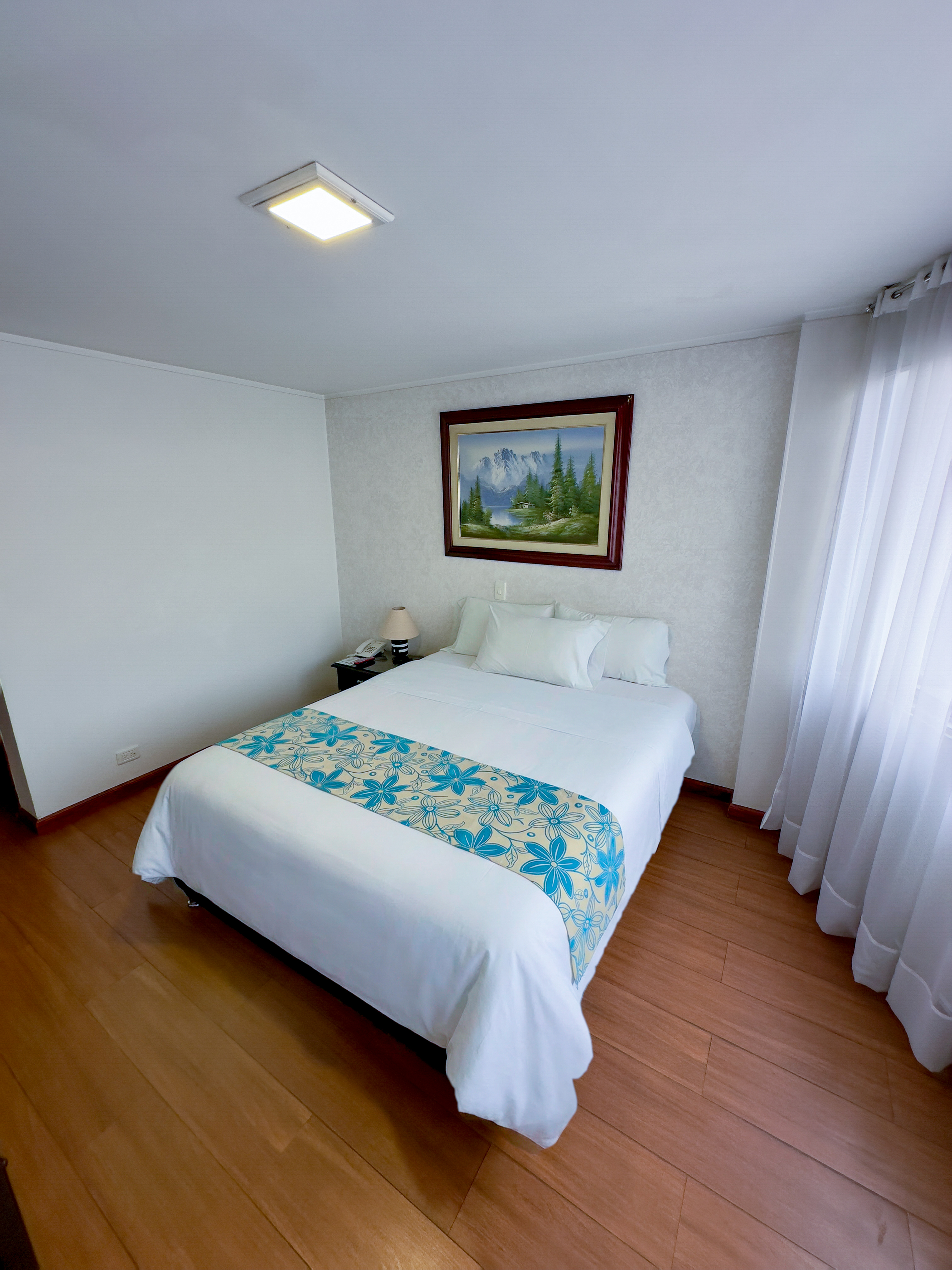 Hotel Don Saul 11/50