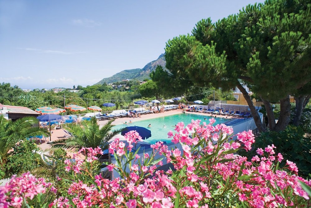 Hotel Al Bosco 41/50