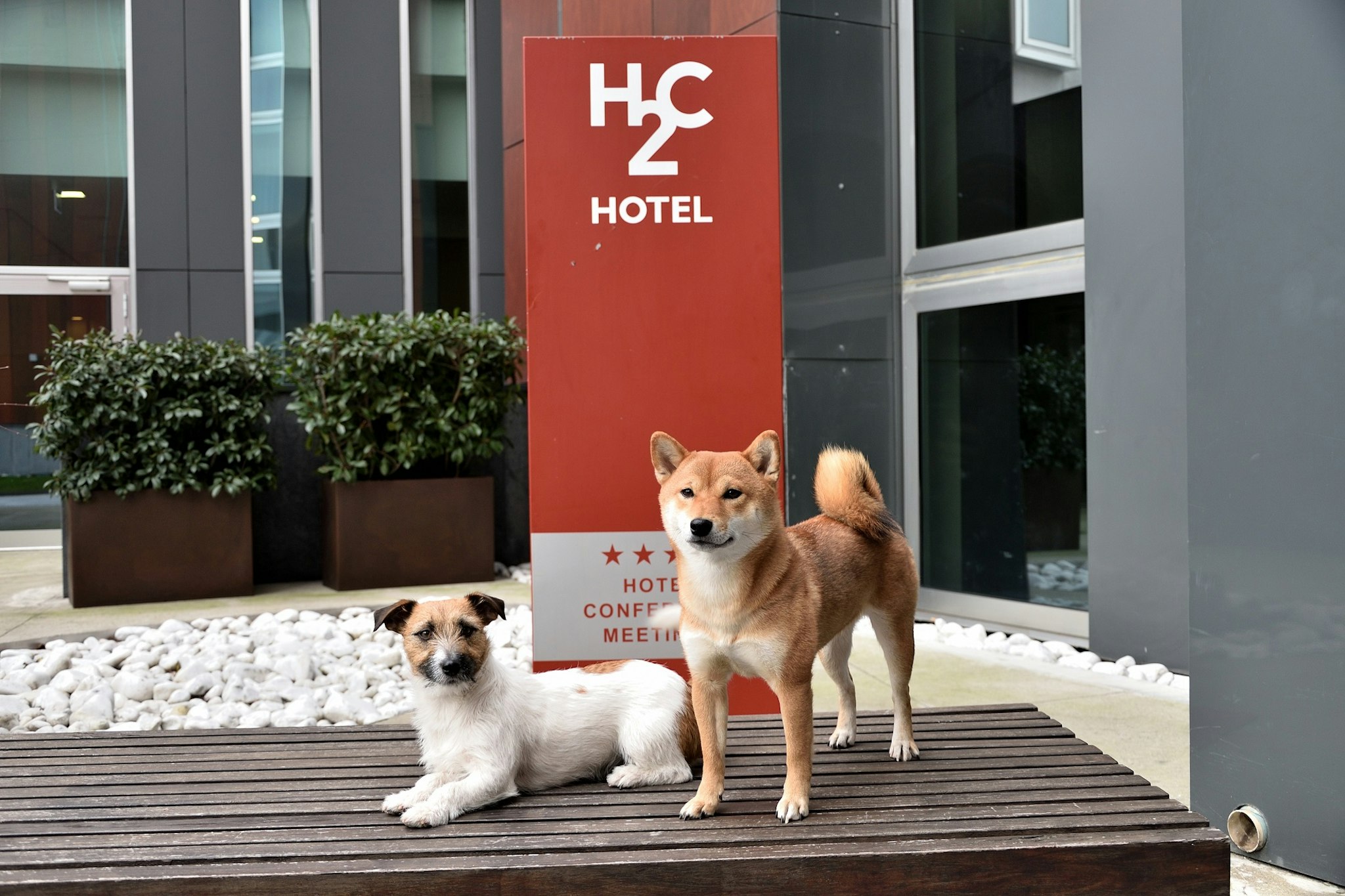 H2C HOTEL MILANOFIORI 6/50