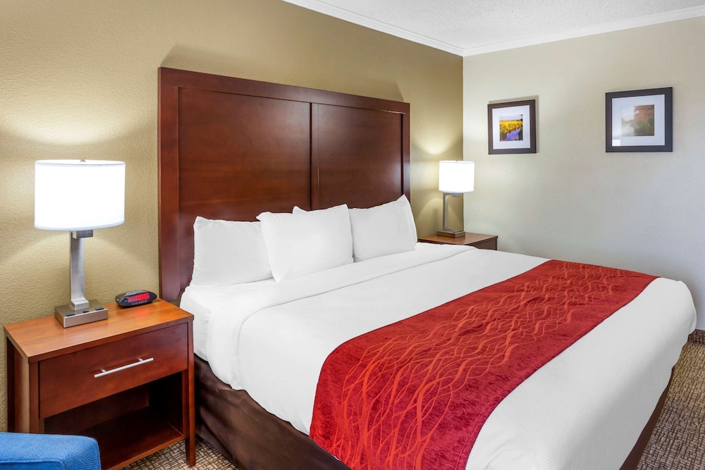 Comfort Inn Hoffman Estates Schaumburg 10/33