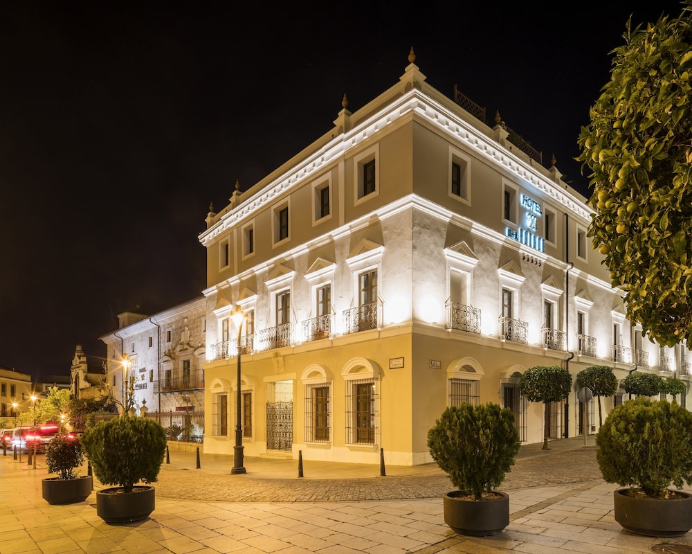 Ilunion Merida Palace Hotel 2/66