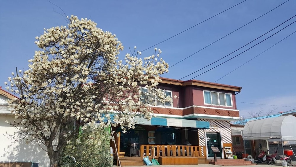 The Guesthouse Dmz Stay - Hostel 2/50