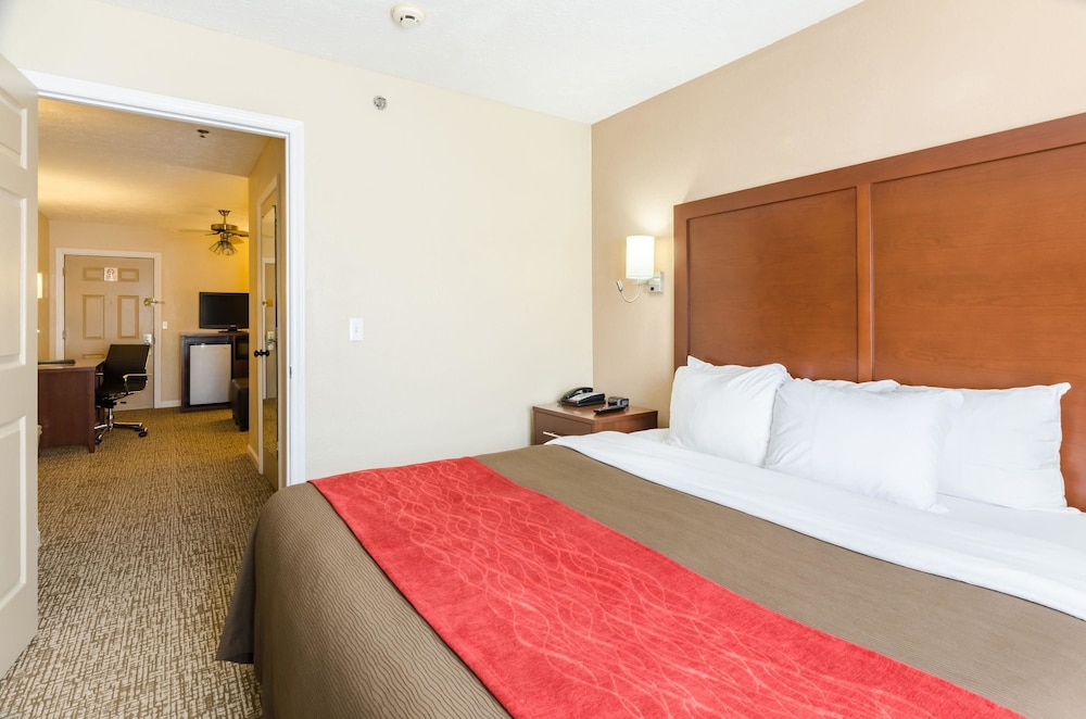 Comfort Inn Wytheville - Fort Chiswell 13/49