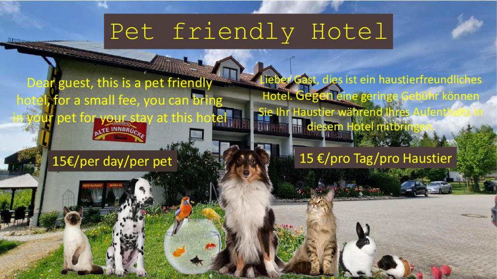 Apparthotel Alte Innbrucke-24Std-Self-Check In 2/50