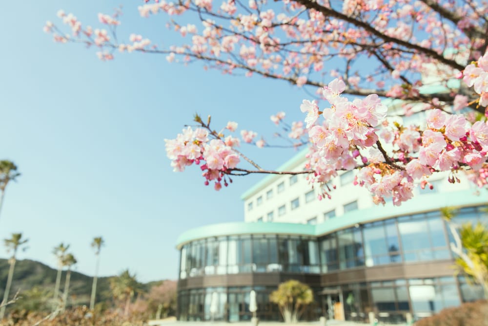 Shimoda Tokyu Hotel 5/68