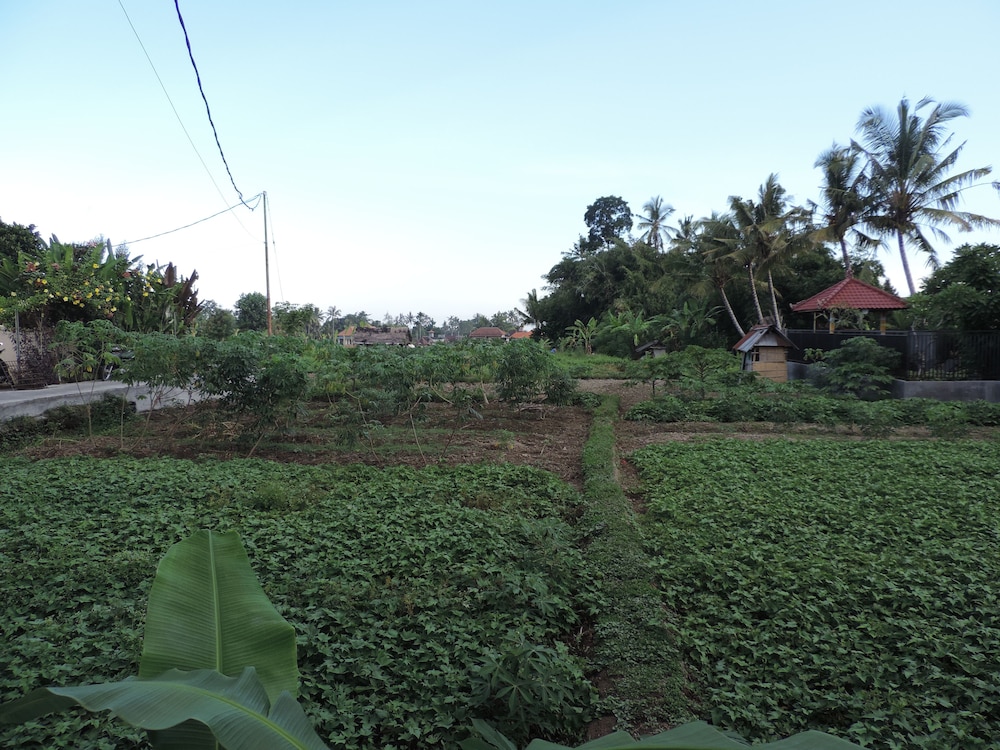 Duana Sari Ubud 38/44