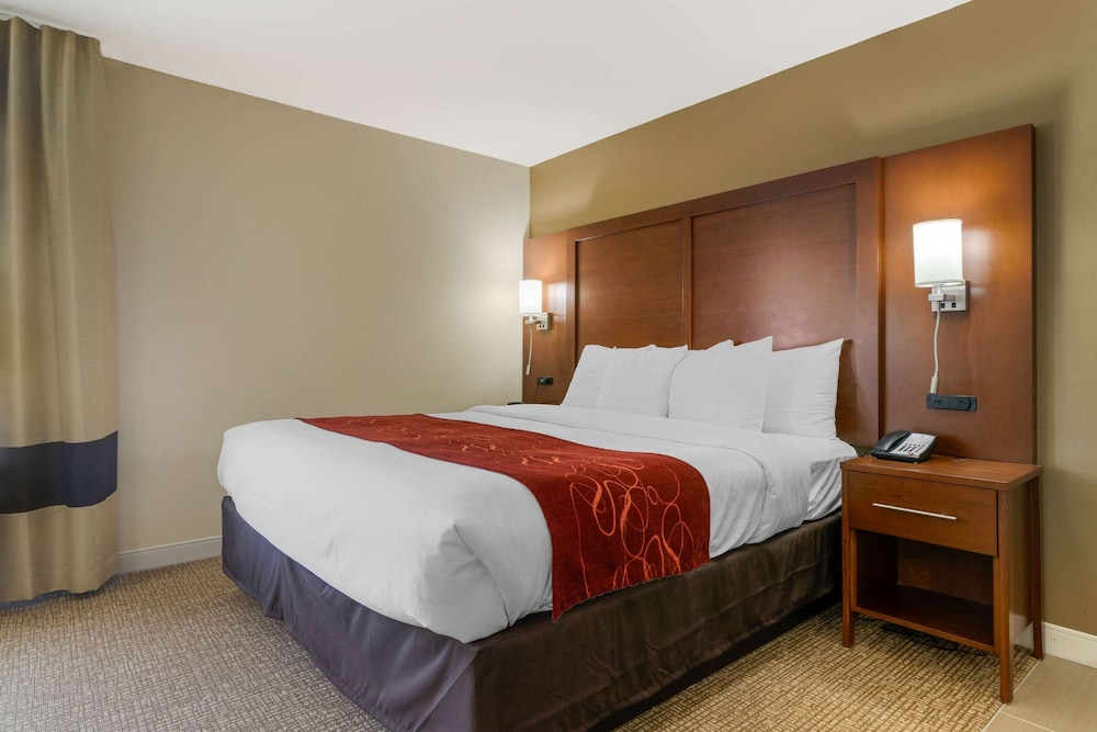SUITE, KING BED