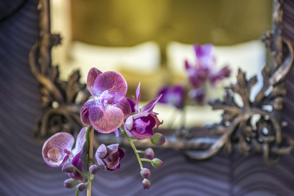 Residence Balaton Conference Wellness Hotel 16/42