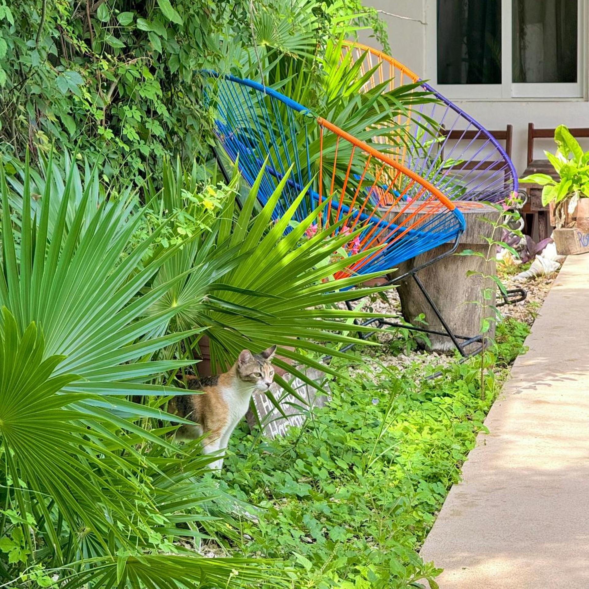 Hotel Jaiba Mahahual 53/58
