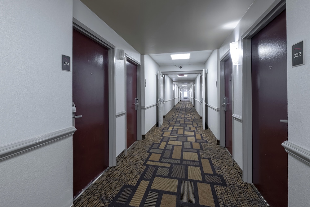 克拉布特里罗利美洲最优价值酒店(Red Roof Inn Raleigh North-Crabtree Mall/Lenovo Center) 图片2