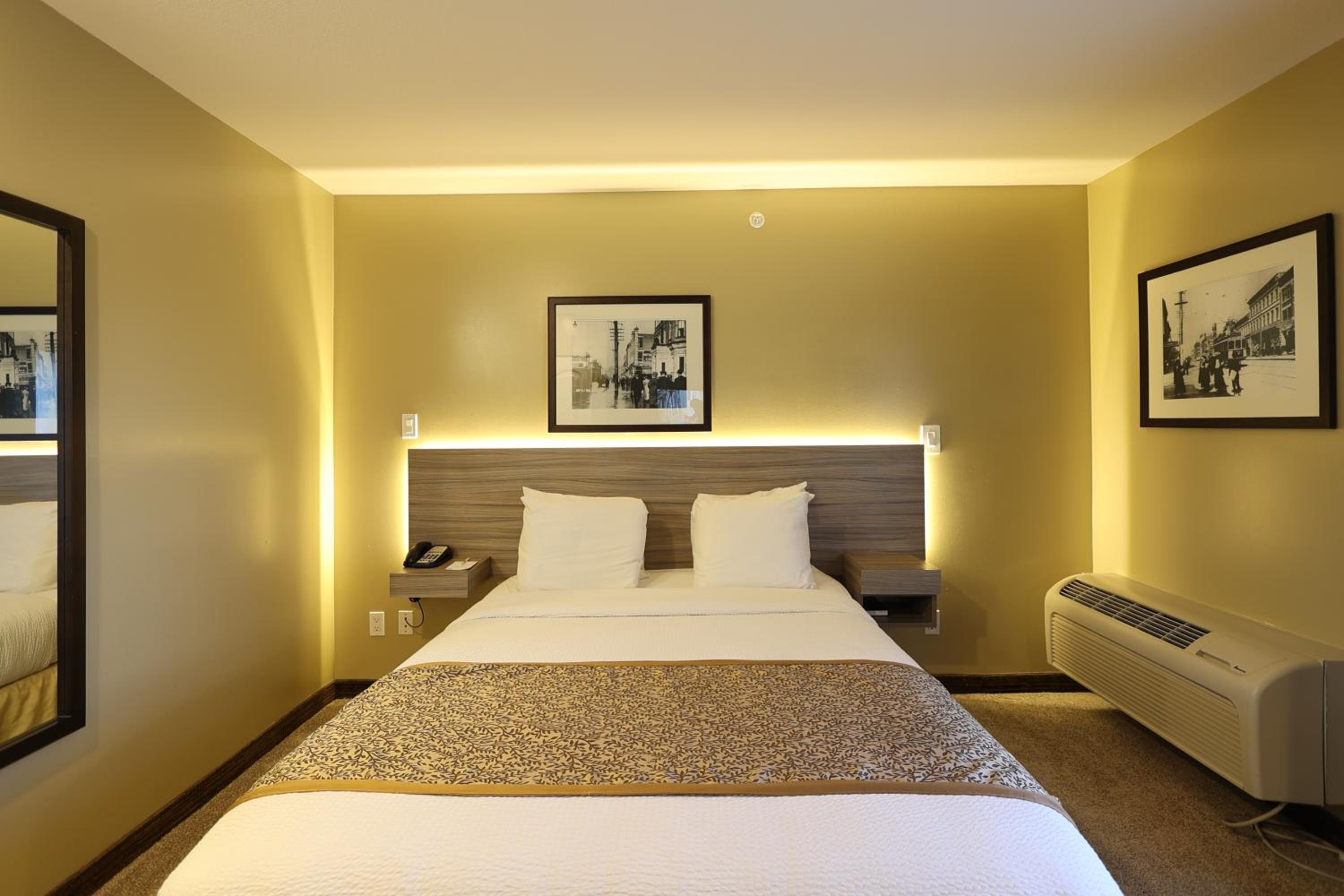 Room, King Bed, Queen Bed