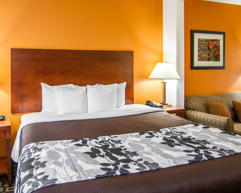 Sleep Inn Suites I 20 10/43
