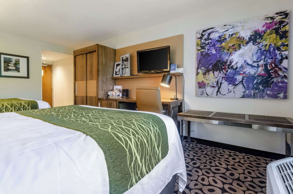 Standard, 2 Queen Beds