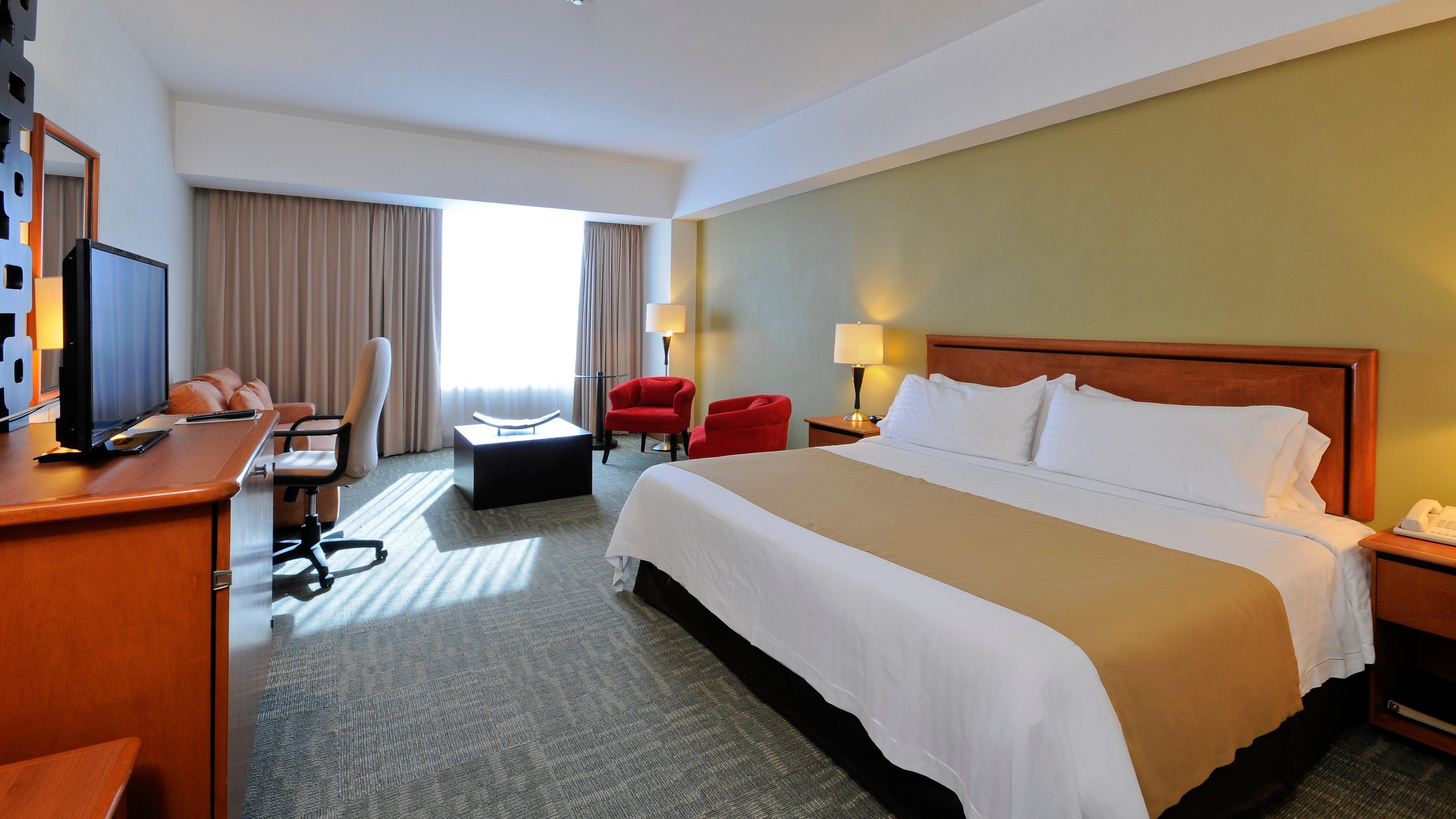 Holiday Inn Irapuato 14/55