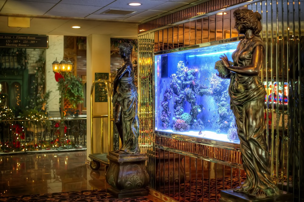 Garden Place Hotel 14/51