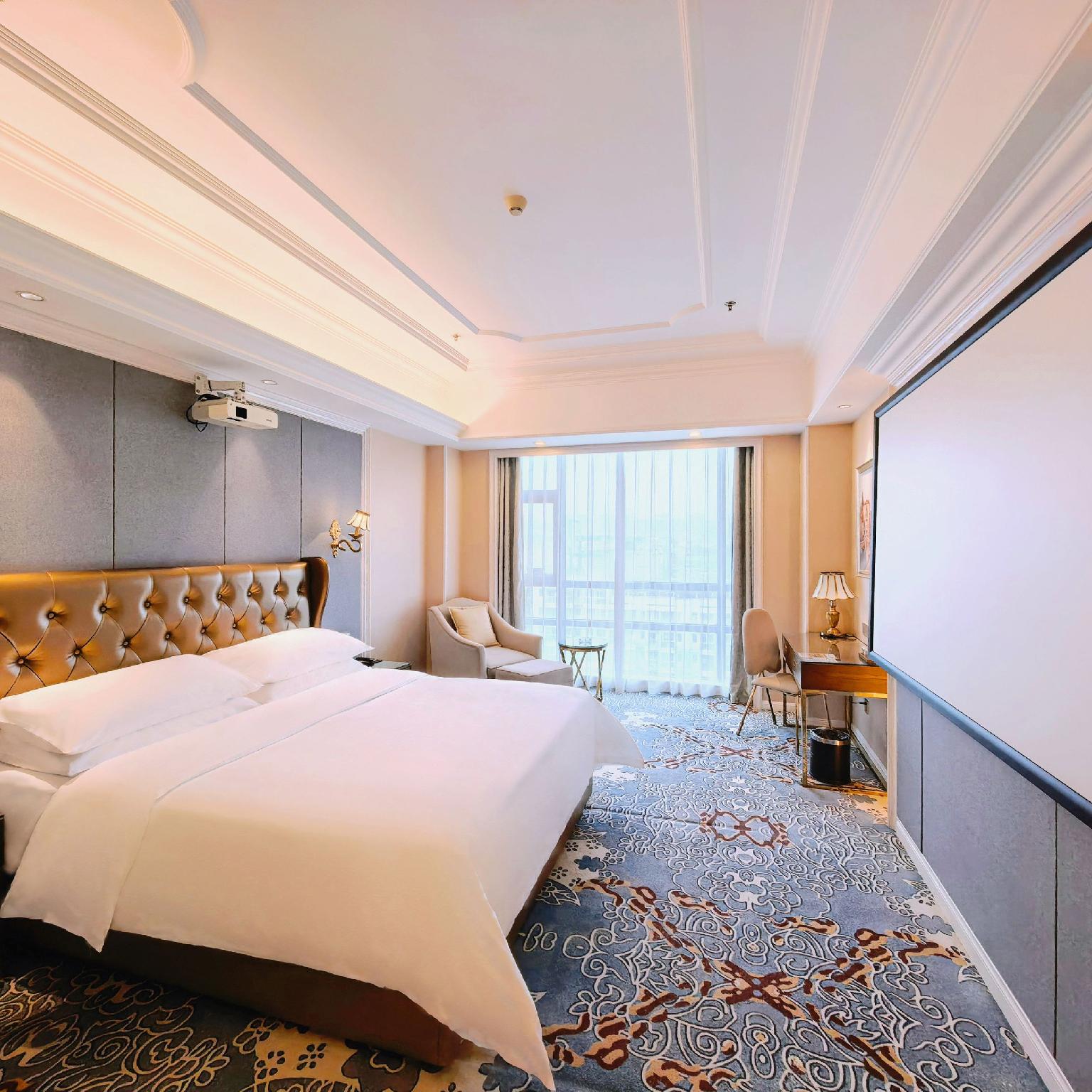 Vienna International Hotel (Mianyang High Speed Railway Station) 16/49