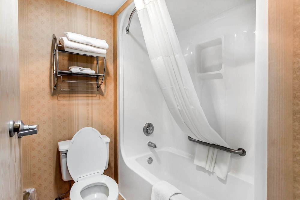 Quality Inn Dumas 16/39
