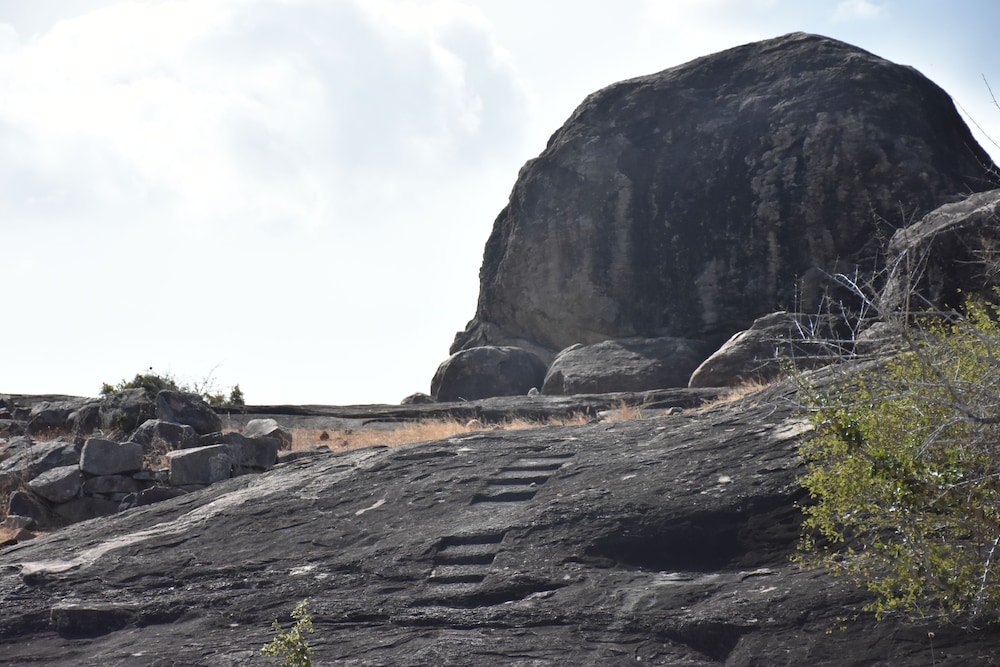 Mahoora Tented Safari Camp - Kumana 14/19