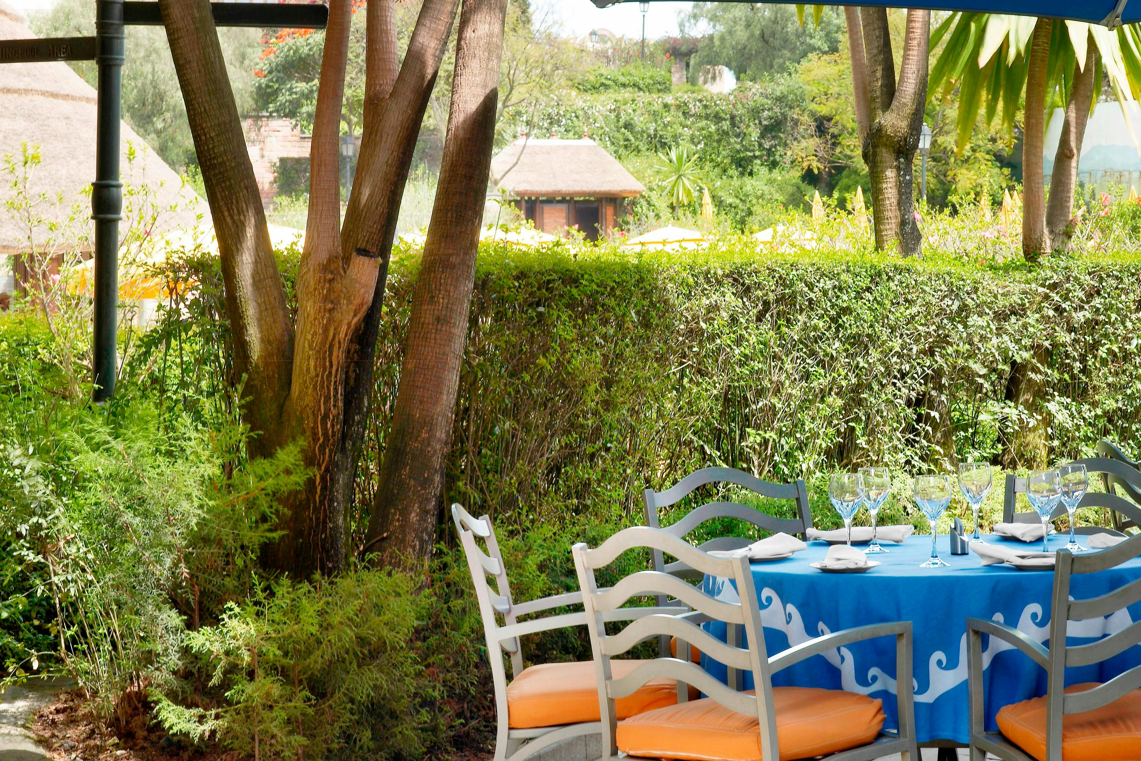 Sheraton Addis 81/81