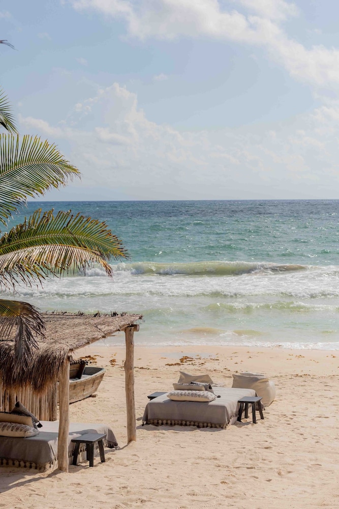 NEST Tulum 47/50