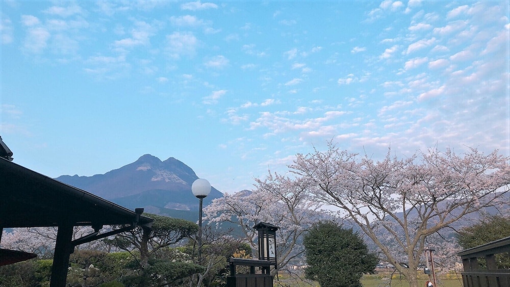 Sansou Tanaka 43/50
