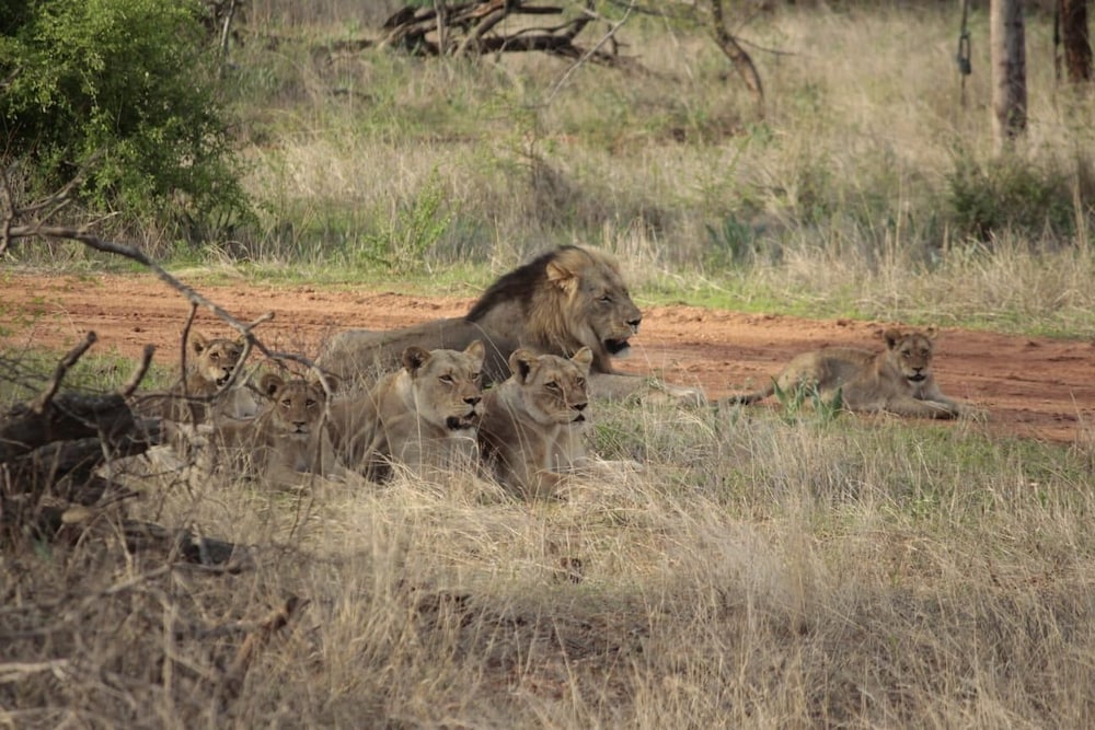 Emhosheni River Lodge 35/47
