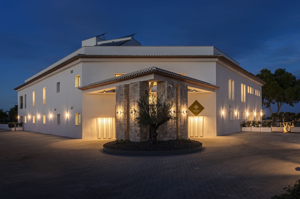 Dionis Boutique Hotel & Spa 1/46