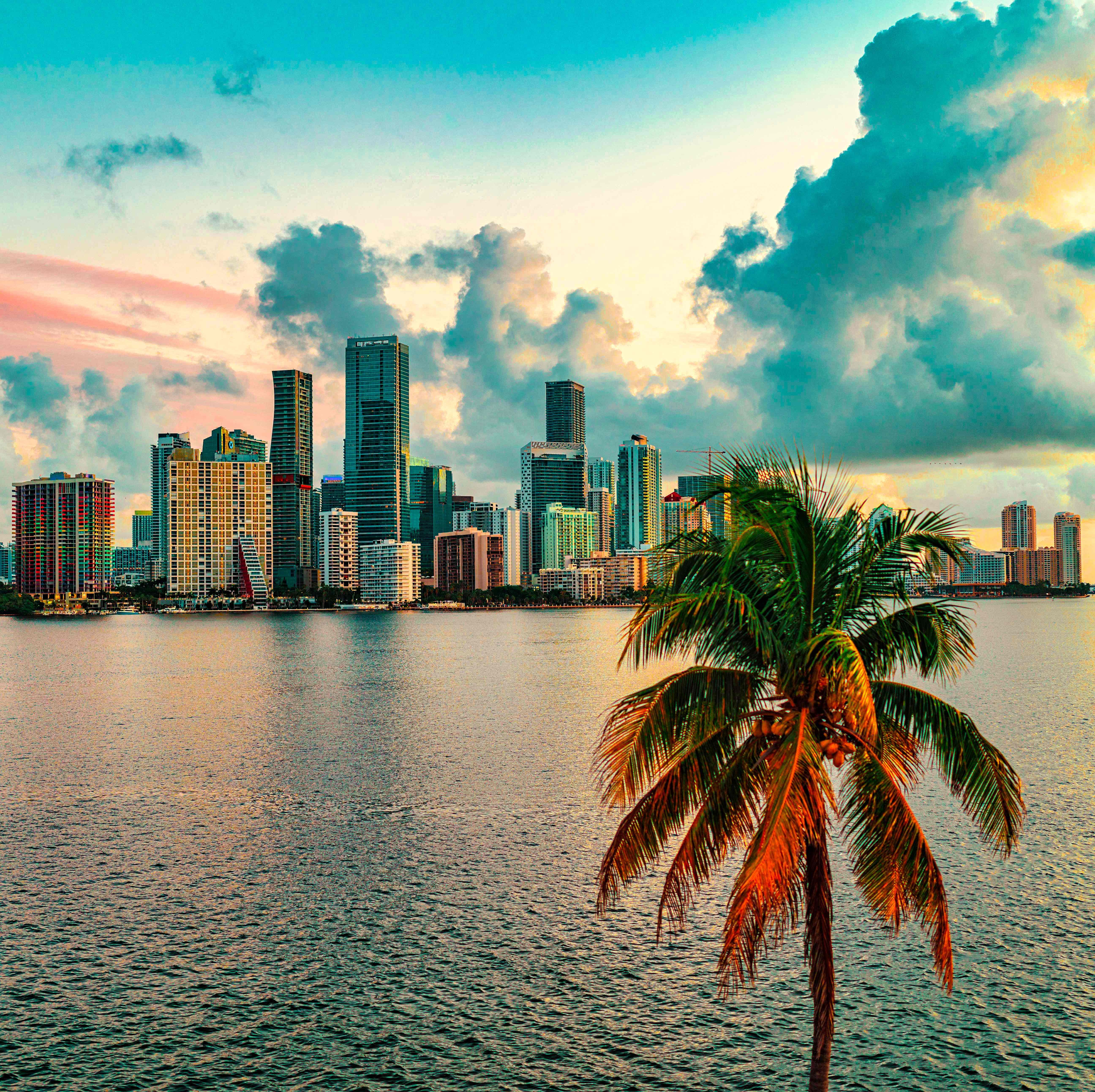 Atwell Suite Miami Brickell 70/79
