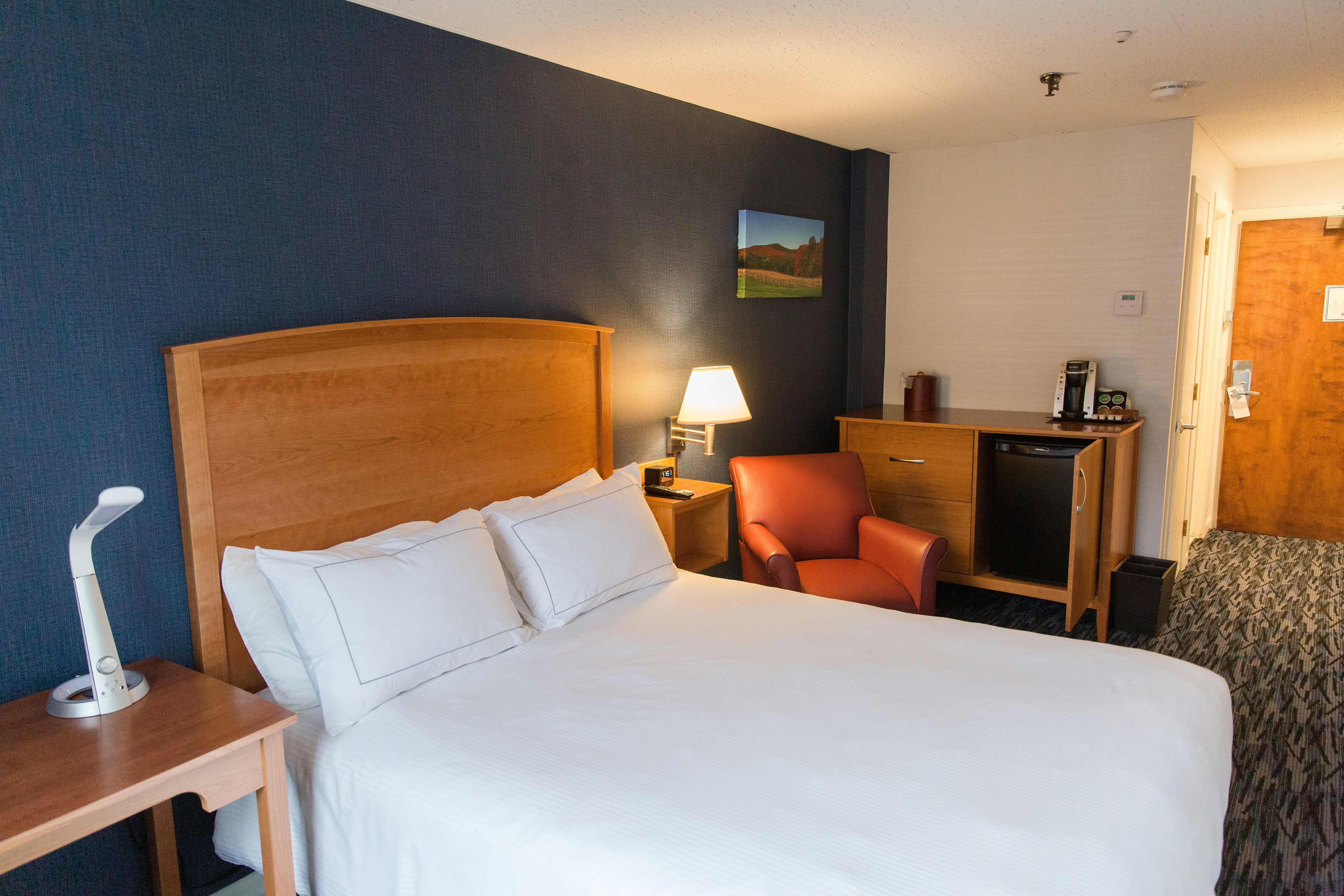 Room, Queen Bed