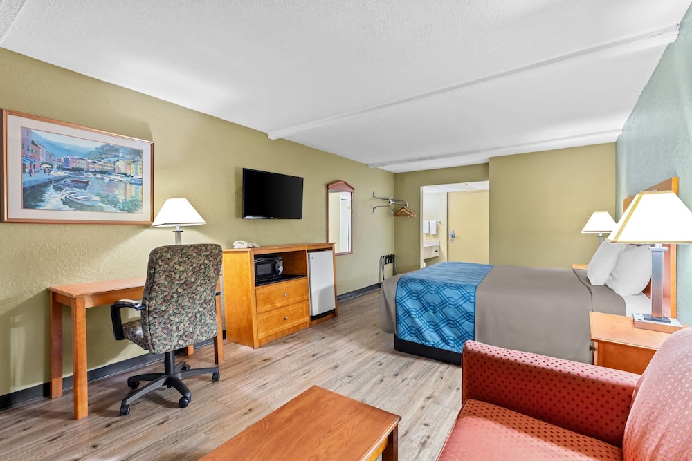 Rodeway Inn Stone Mountain 51/64