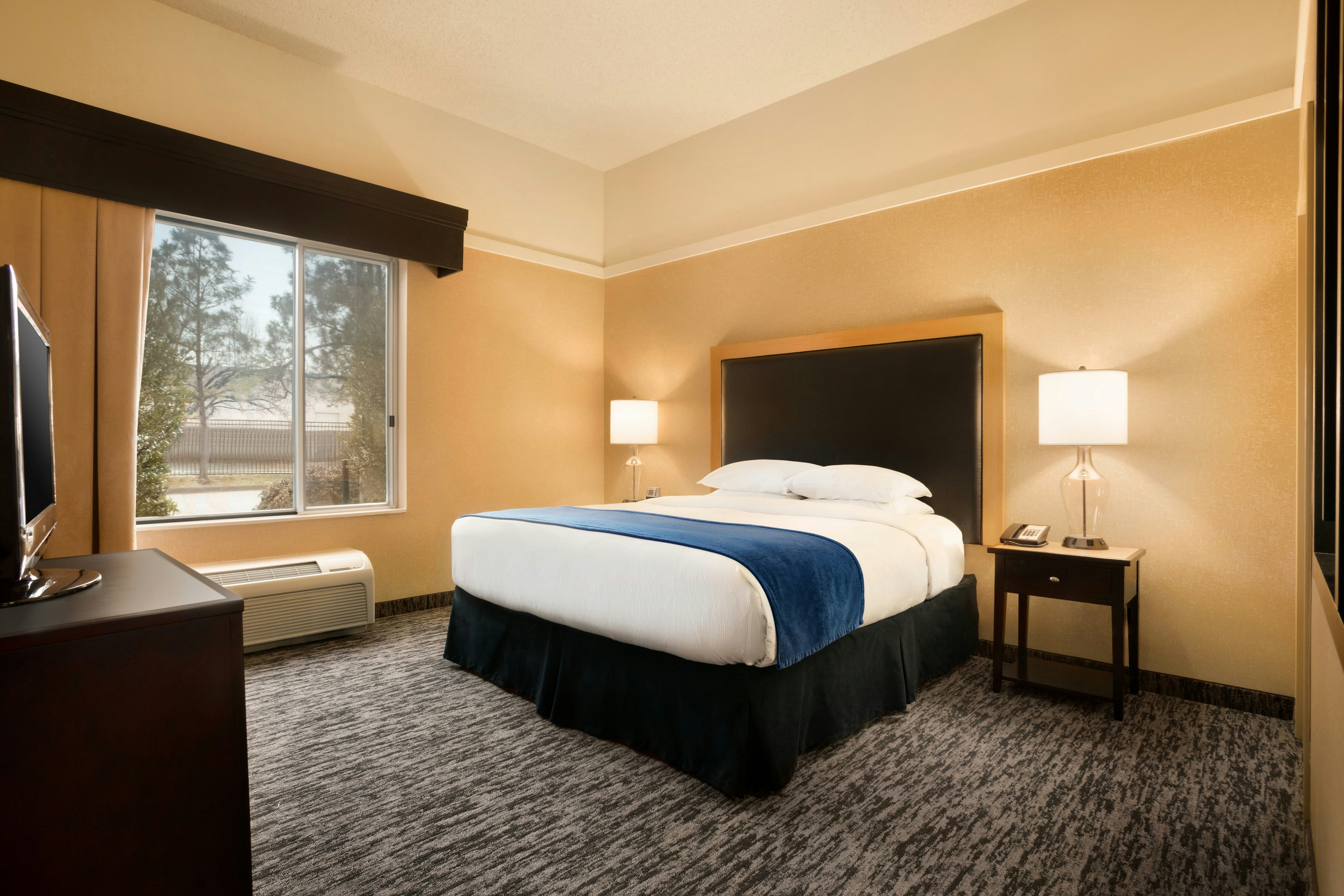 SUITE, KING BED, ACCESSIBLE