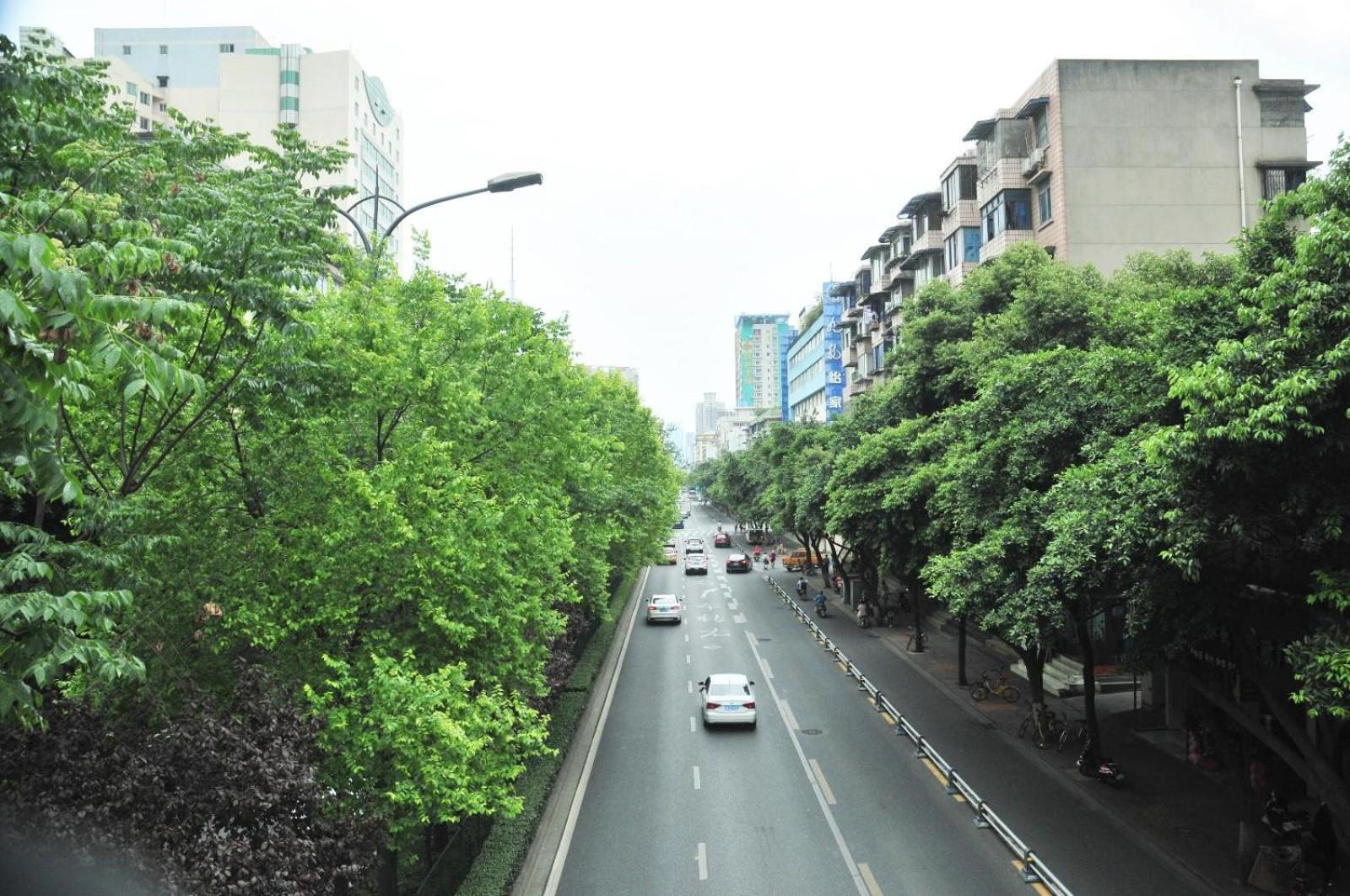 Lavande Hotel (Chengdu Chunxi Road) 23/26