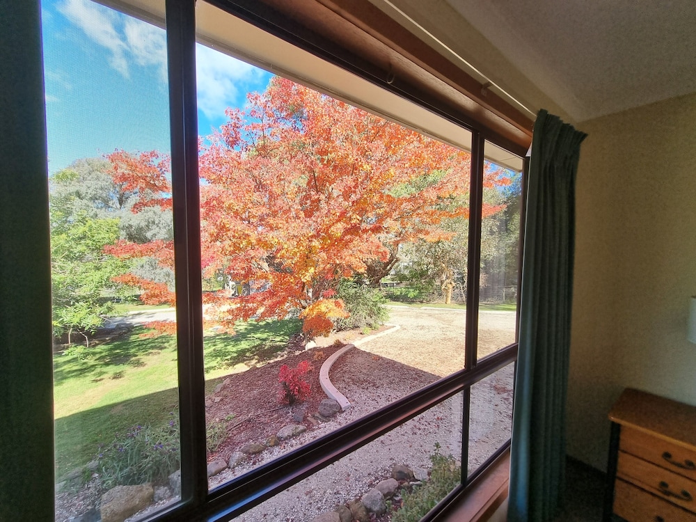 Golden Heritage Apartments Beechworth 14/35