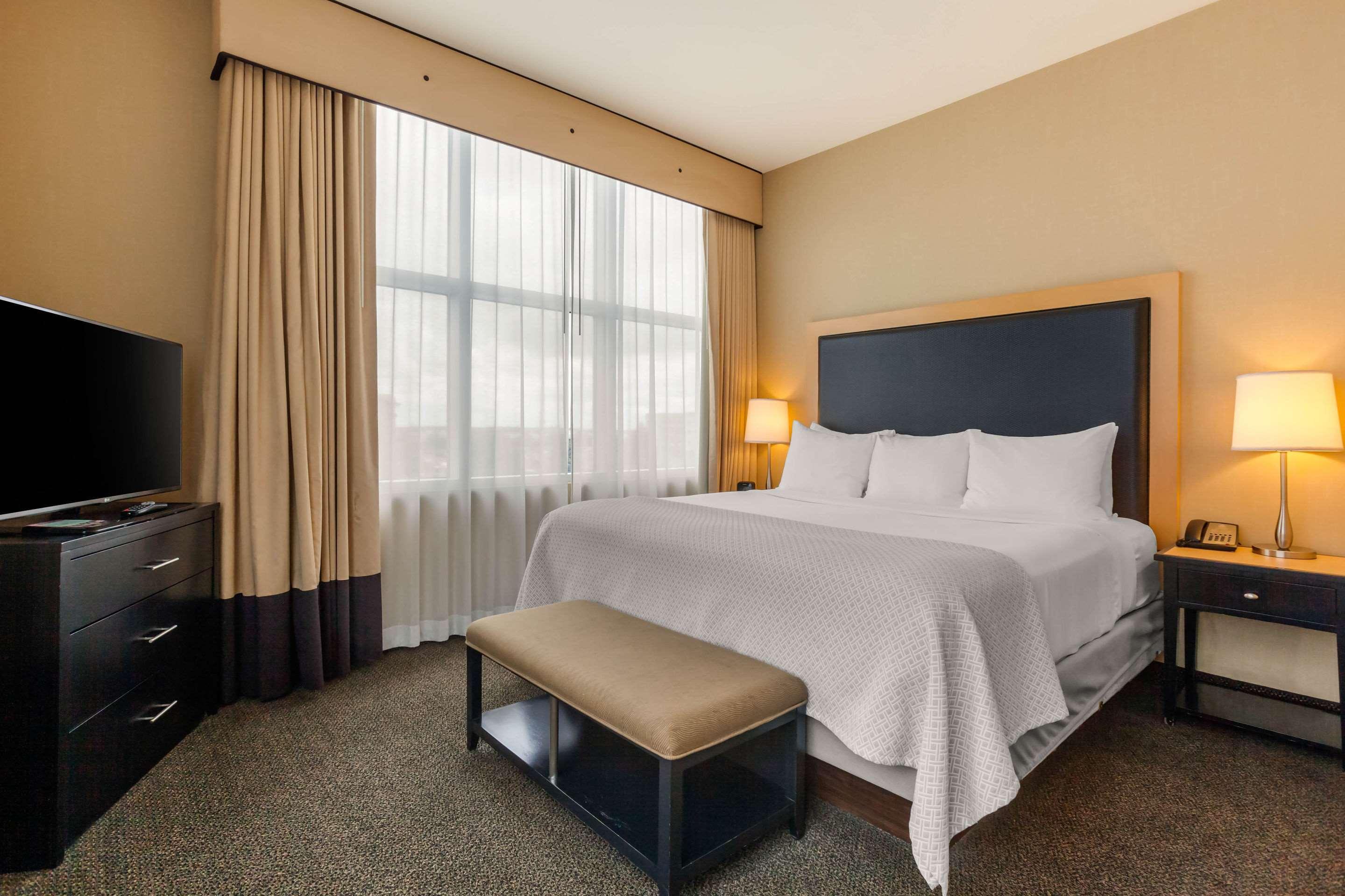 SUITE, KING BED