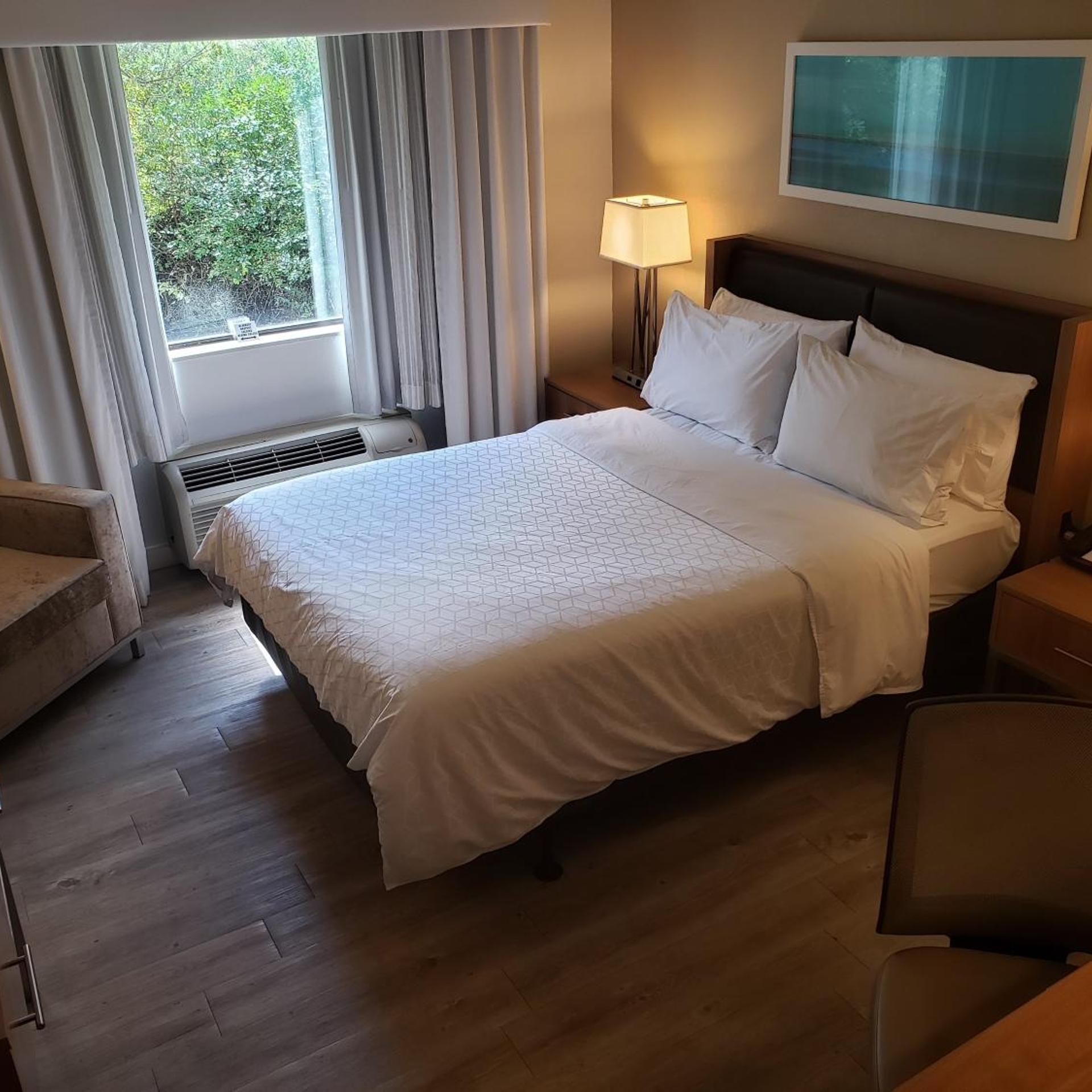 Studio, Queen Bed, Accessible