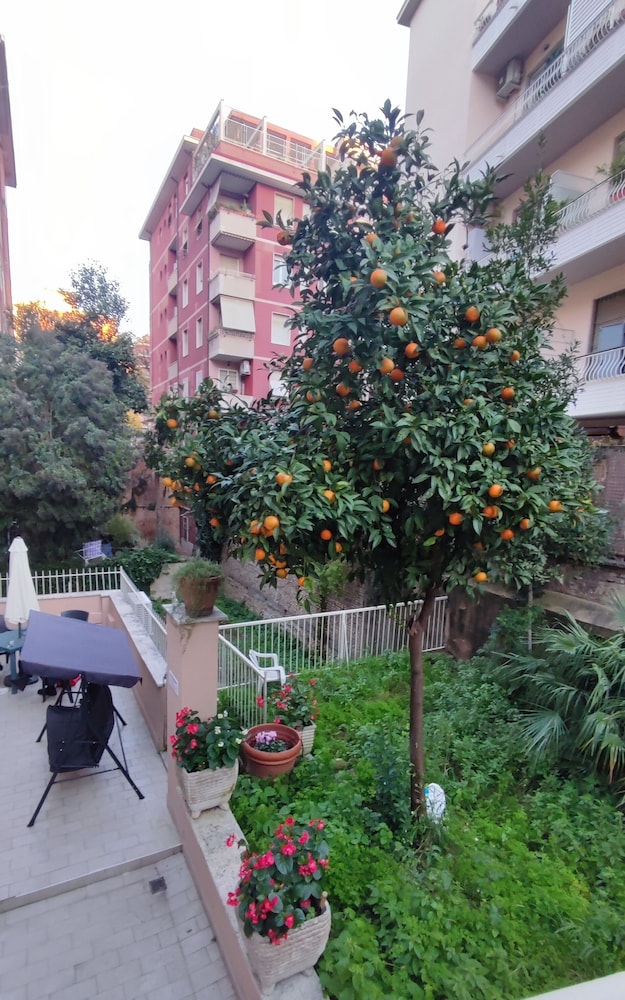Vatican Green Garden 30/50